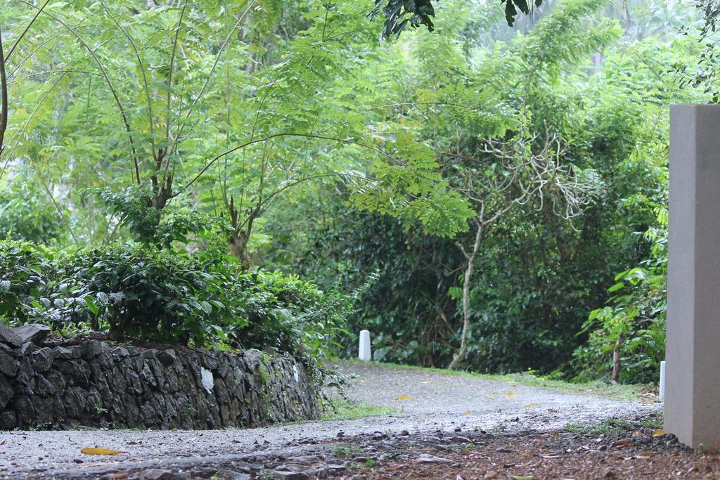 The Country House Chalets Galle Buitenkant foto