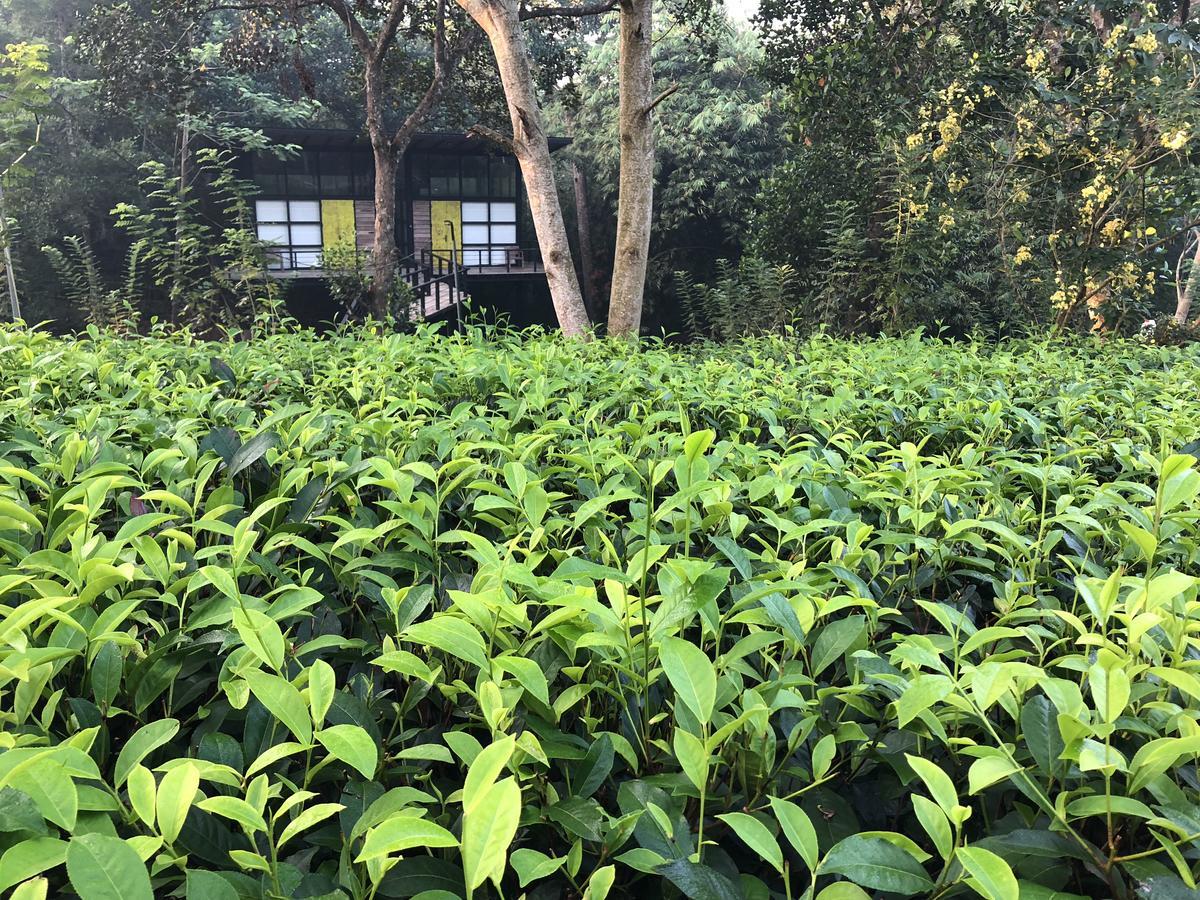 The Country House Chalets Galle Buitenkant foto